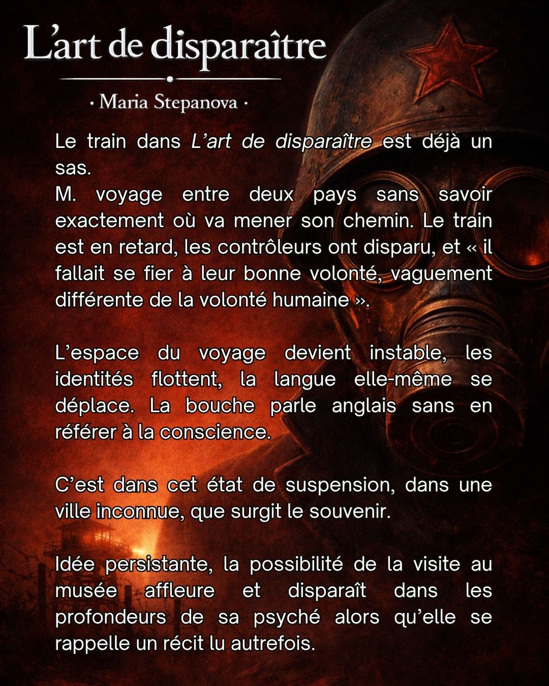 Stepanova ne cite jamais Boym. Dans En mémoire de la mémoire, ses références déclarées sont Sebald, Barthes, Benjamin, Sontag. Boym n'apparaît pas. Et pourtant. Boym publie The Future of Nostalgia(3)