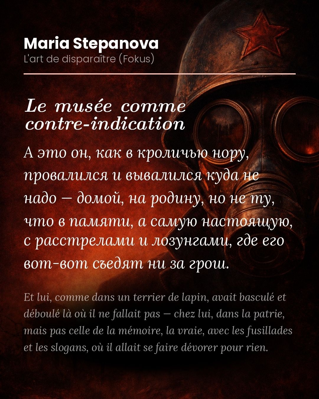 Stepanova ne cite jamais Boym. Dans En mémoire de la mémoire, ses références déclarées sont Sebald, Barthes, Benjamin, Sontag. Boym n'apparaît pas. Et pourtant. Boym publie The Future of Nostalgia(4)