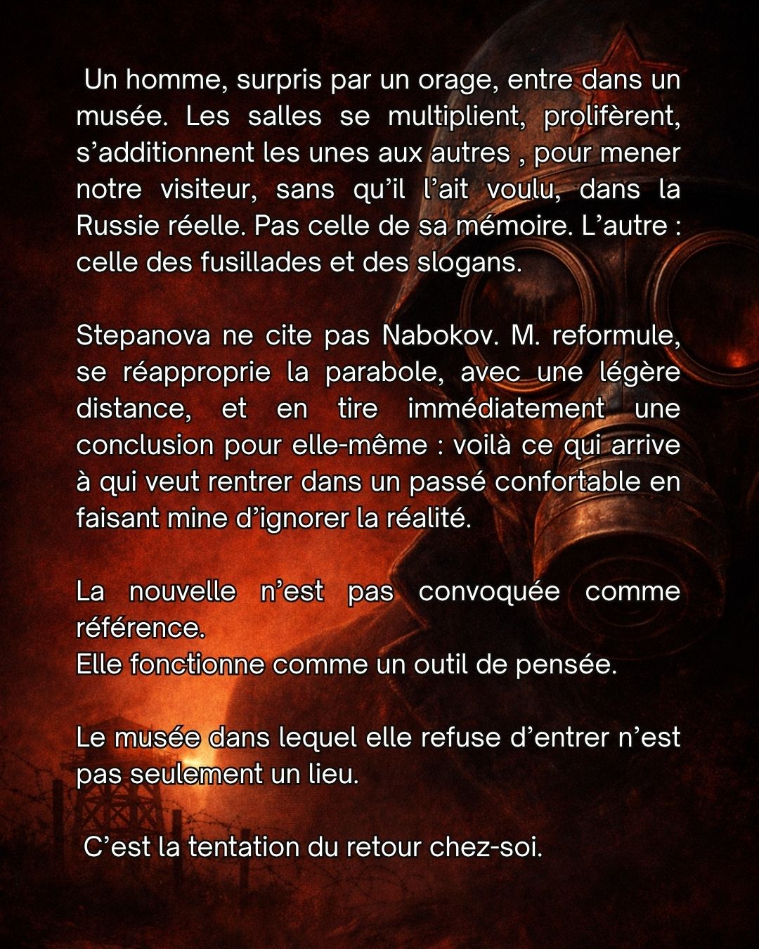 Stepanova ne cite jamais Boym. Dans En mémoire de la mémoire, ses références déclarées sont Sebald, Barthes, Benjamin, Sontag. Boym n'apparaît pas. Et pourtant. Boym publie The Future of Nostalgia(5)